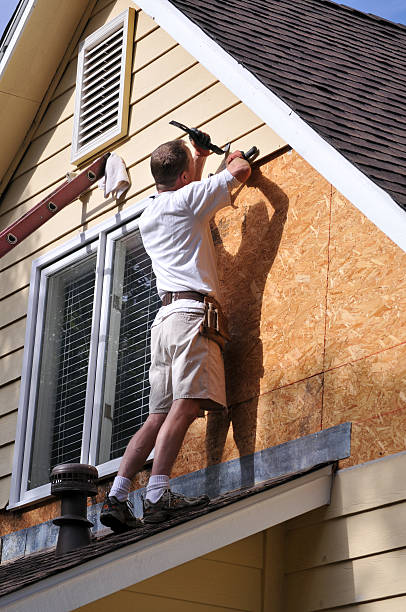 Professional Junk Removal in Lopezville, TX